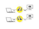 ROLINE GOLD Monitorkabel DVI (24+1) - HDMI, ST/ST, 1,5 m