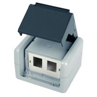 TELEGÄRTNER Gehäuse AP IP44,75x86x58, grau, mit Mont-Einsatz für 2xAMJ-Modul