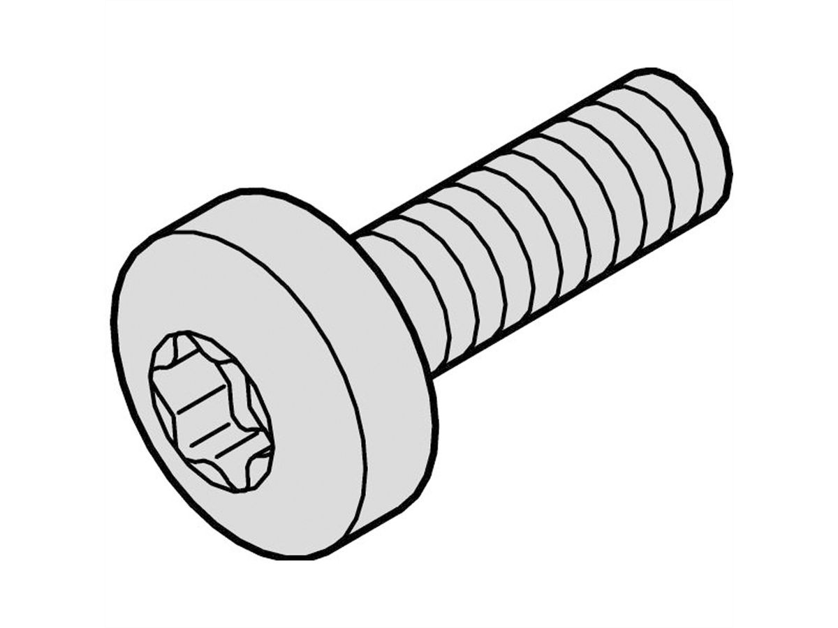 SCHROFF Torx Linsenkopfschraube - NTS MS LINSHR M4X10 100STK