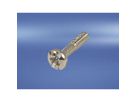 SCHROFF Halsschraube mit Kreuzschlitz/Schlitz - HALSSCHR.M.KR.M2,5 SCHW.100S