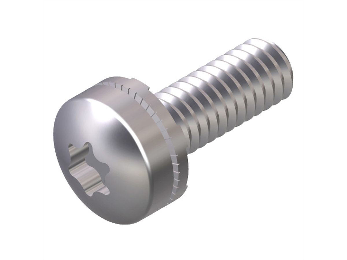 SCHROFF KÄFIG-MUTTER/-SCHRAUBE T30 M6 (X100)