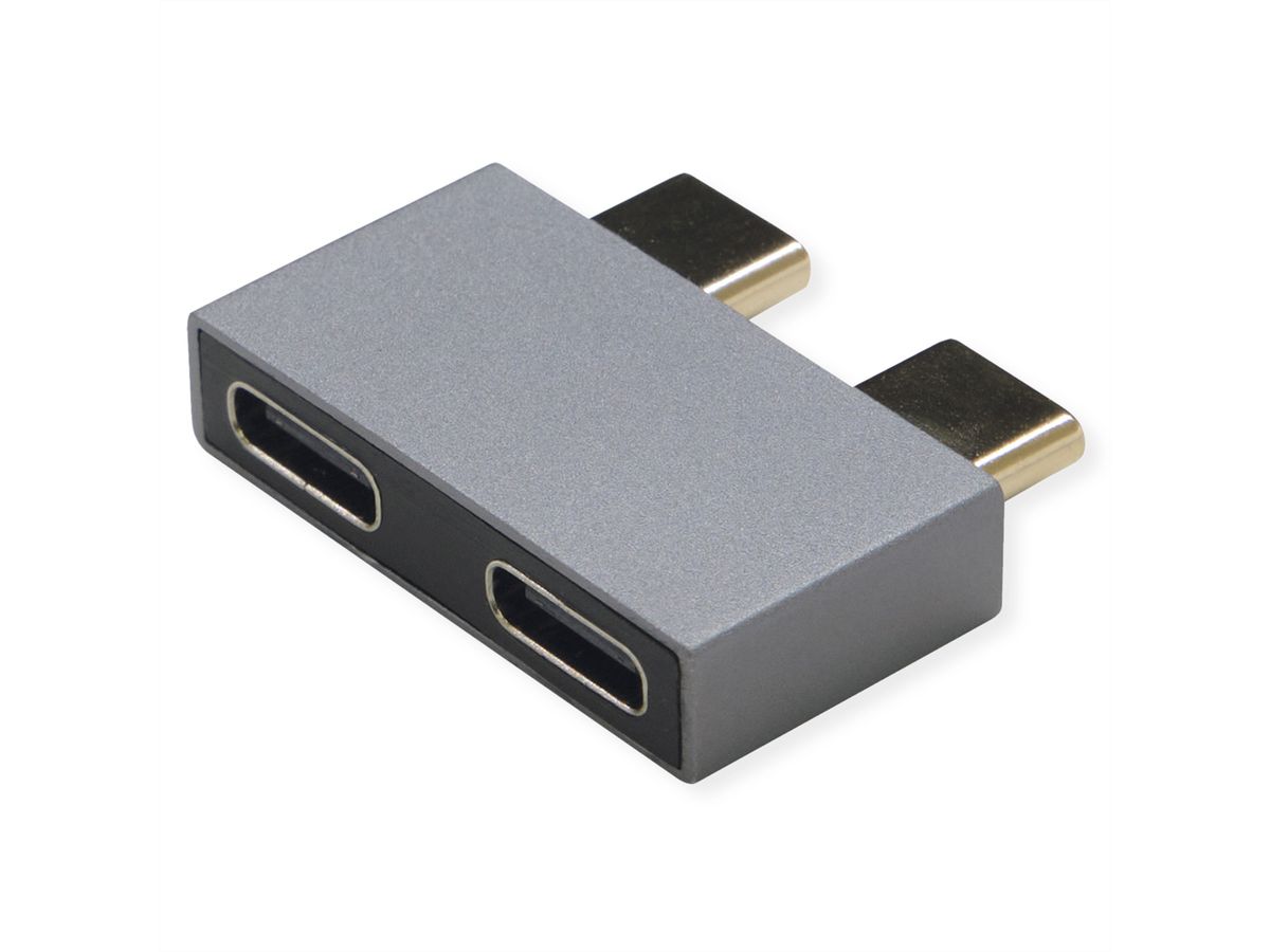 ROLINE USB 3.2 Gen 2 Adapter, 2x USB Typ C - 2x Typ C, ST/BU, silberfarben