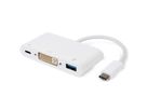 ROLINE Display Adapter USB Typ C - DVI + USB 3.2 Gen 1 Typ A + PD