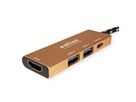 ROLINE GOLD USB Typ C Dockingstation, HDMI 4K, 2x USB 3.2 Gen 1, 1x PD