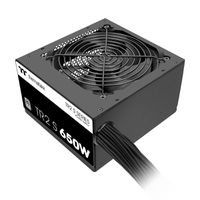 Thermaltake TR2 S 650W Netzteil