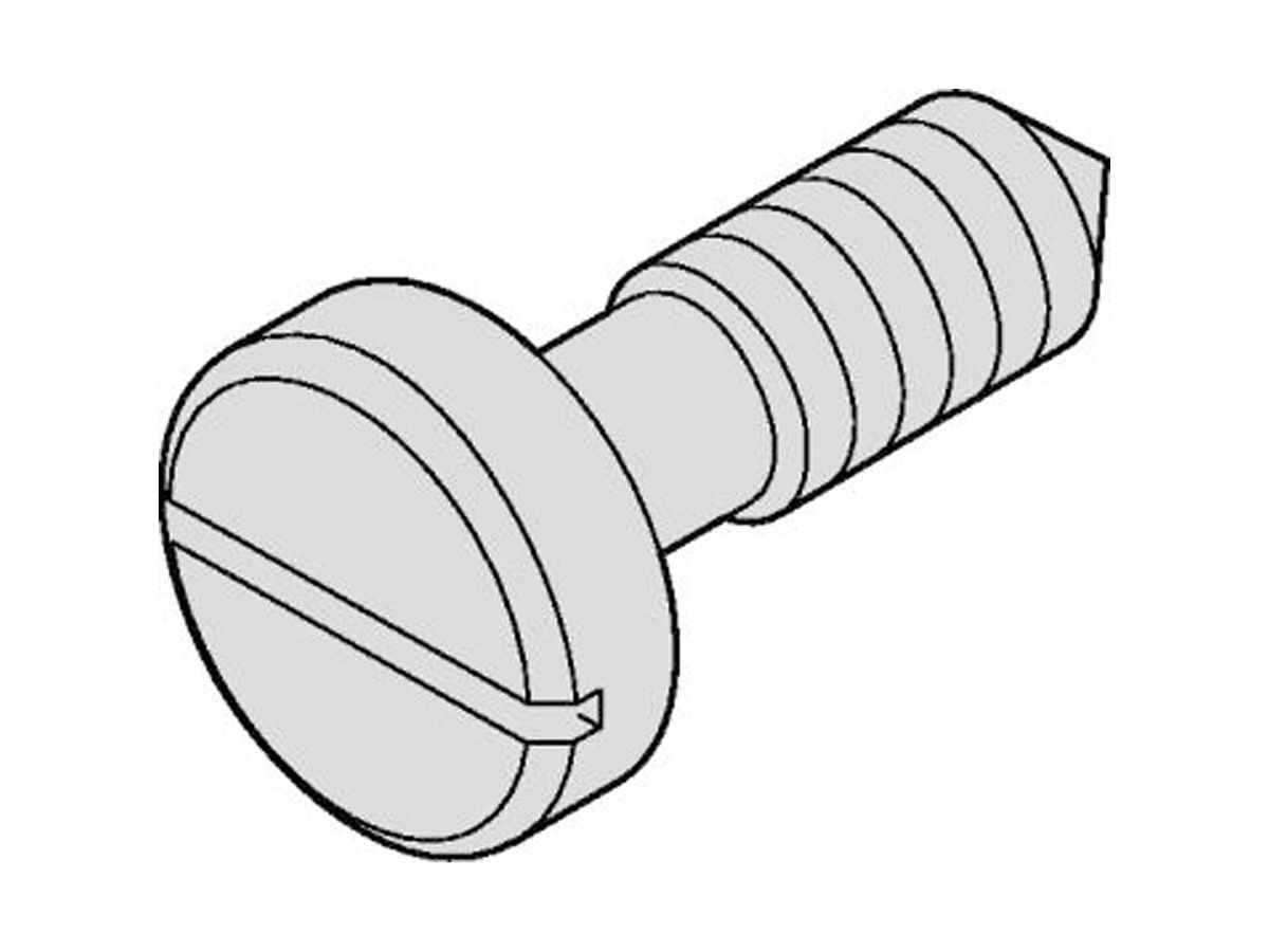 SCHROFF Halsschraube mit Schlitz - HALSSCHRAUBE M6 M.SCHL.100ST