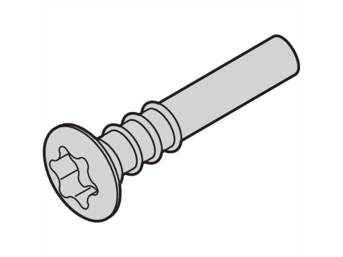 SCHROFF Torx-Linsenkopfschraube - NTS LISESHR TORX3.0X20 100ST