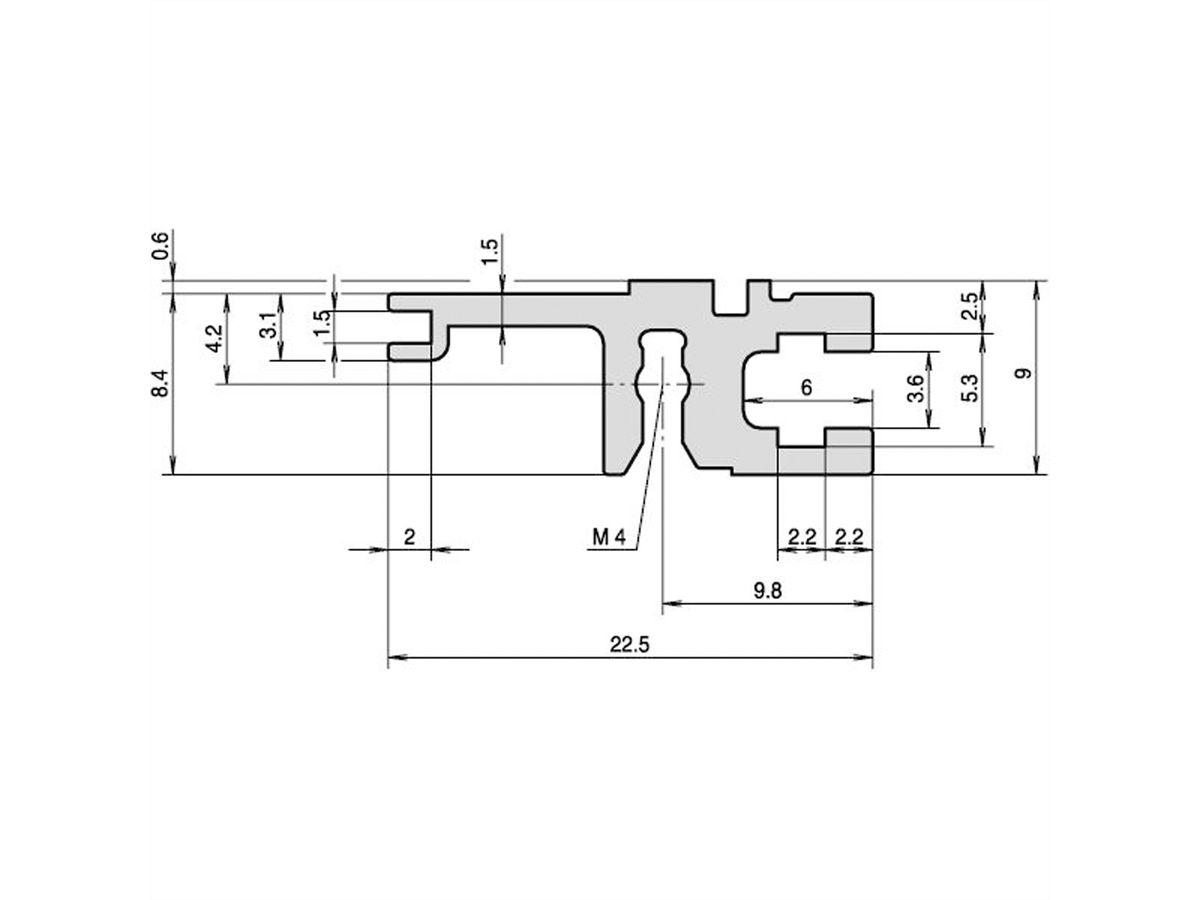 SCHROFF Typ L-ST leicht, Standard - MODULSCH. HINTEN 40TE L ST