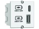 BACHMANN Custom Modul USB Charger Typ A & C 22W, Quickcharge, weiß