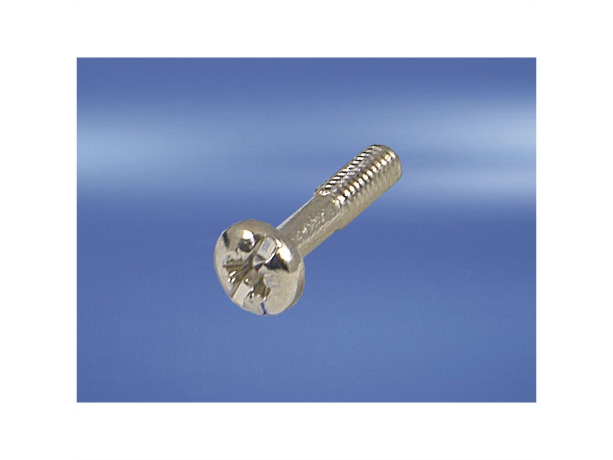 SCHROFF Halsschraube mit Kreuzschlitz/Schlitz - HALSSCHR.M.KR.M2,5 SCHW.100S