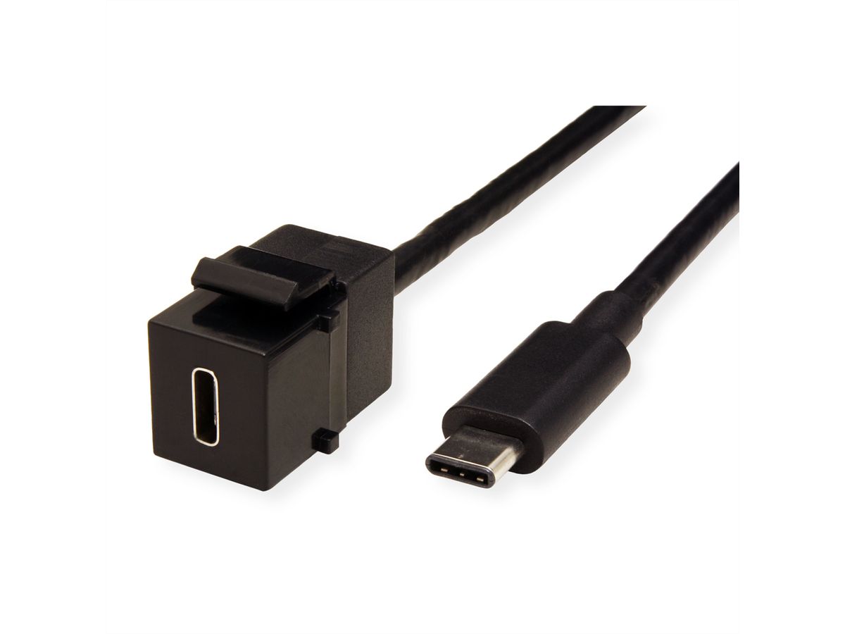 BACHMANN Keystone USB 3.1 Kupplung Typ C, Buchse/Stecker, 0,5 m - SECOMP  Electronic Components GmbH
