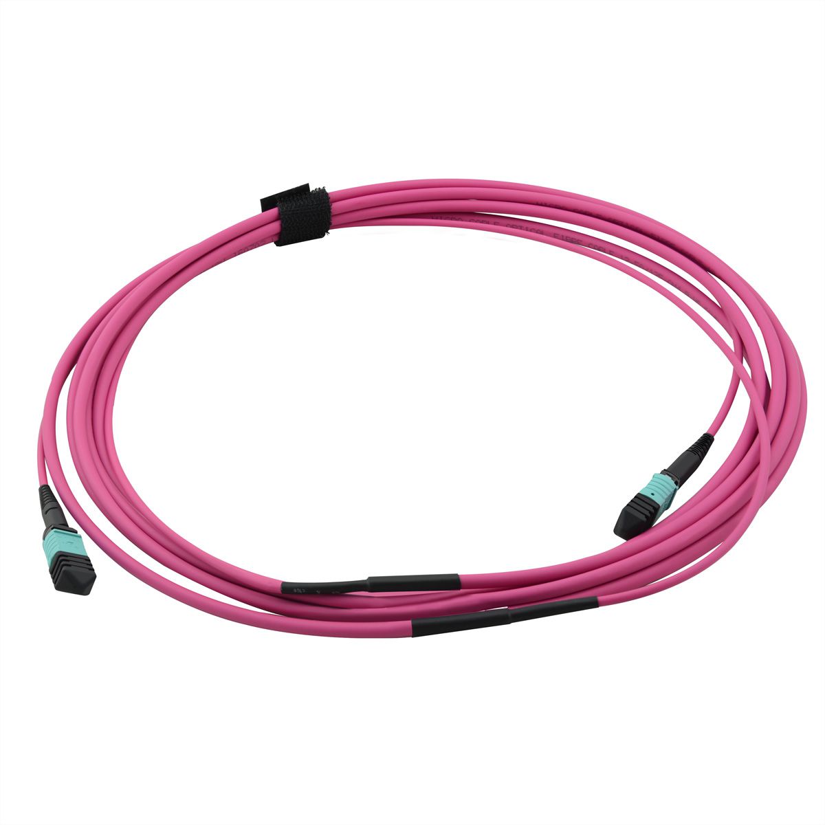 VALUE MPO-Trunk-Kabel 50/125µm OM4, MPO/MPO, TYPE A, violett, 3 m