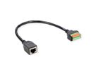 ROLINE Kabeladapter RJ45 Buchse zu Terminalblock, (Drucktasten), 30 cm