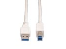 VALUE USB 3.2 Gen 1 Kabel, Typ A-B, weiß, 3 m