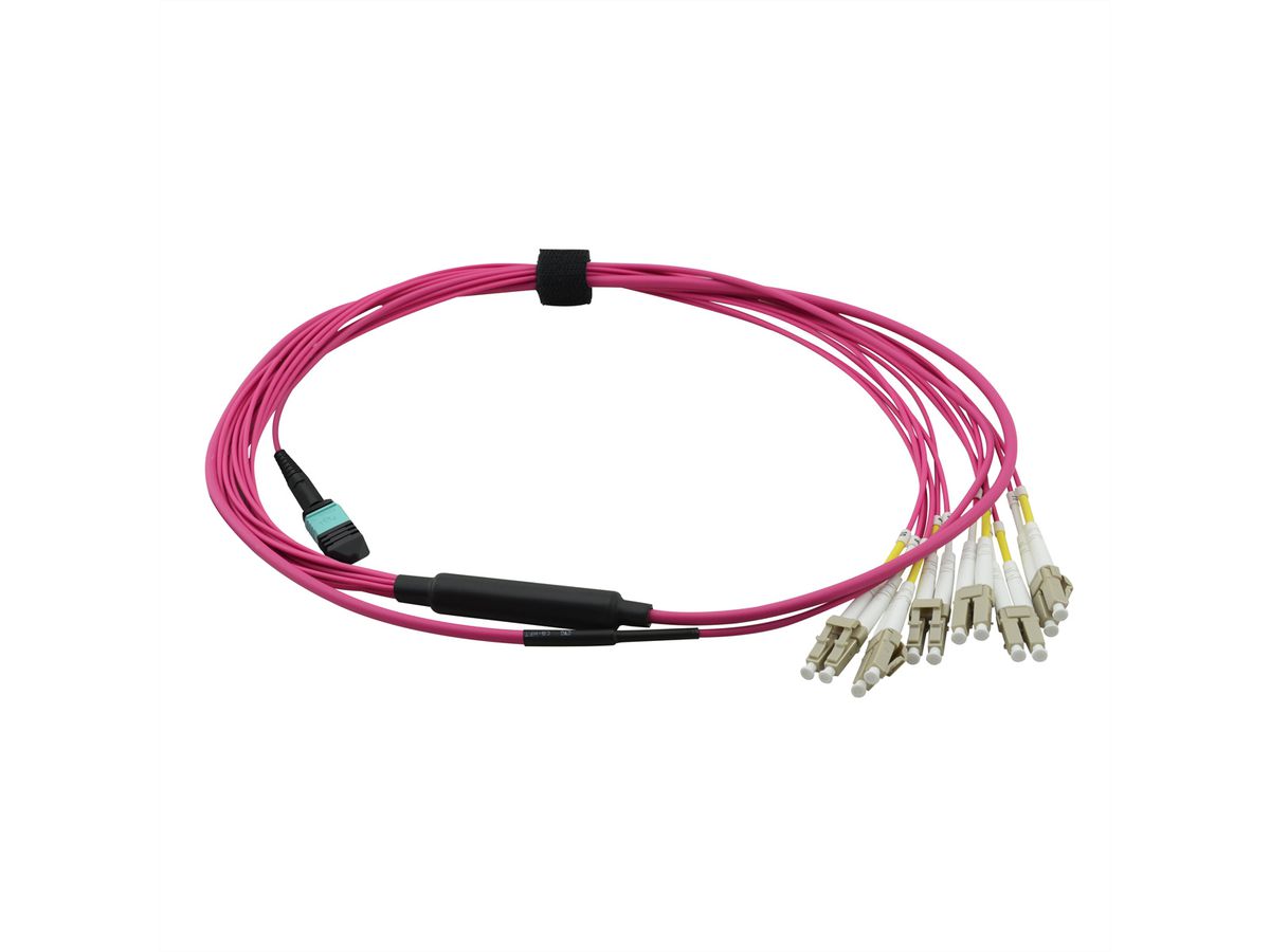 VALUE MPO-Fanout-Kabel 50/125µm OM4, MPO/12x LC, violett, 2 m