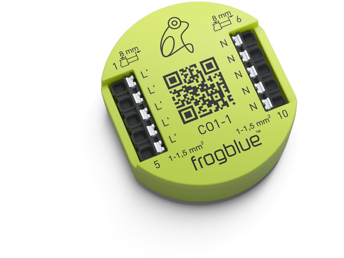 frogblue frogConnect1-1, Ableitung von Leckstrom