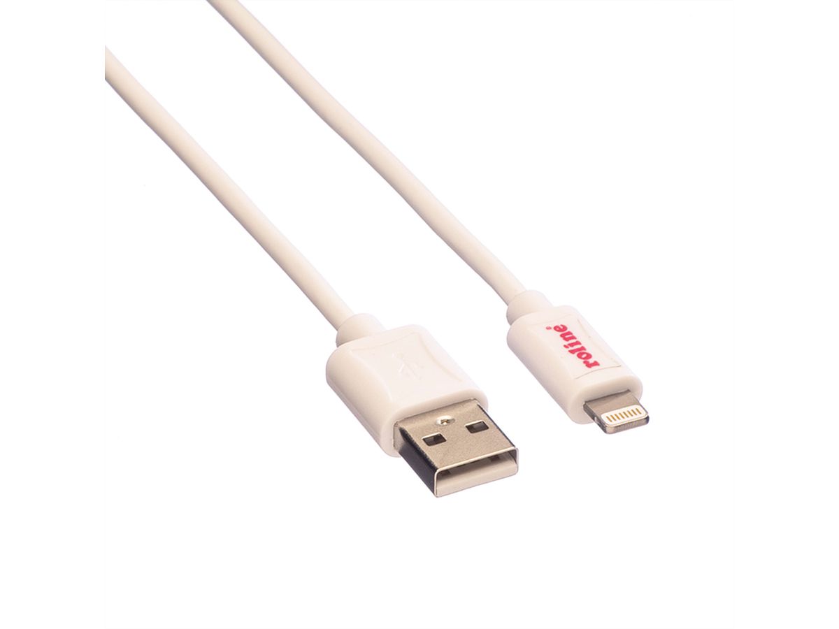 ROLINE USB 2.0 Sync- & Ladekabel mit Lightning Connector, weiß, 0,15 m