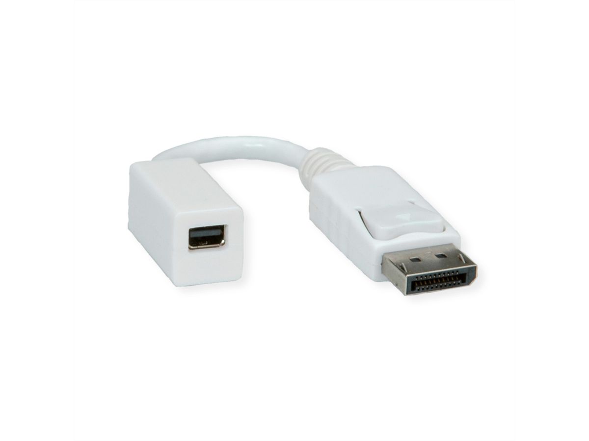 ROLINE DisplayPort Adapter, DP Stecker - Mini DP Buchse