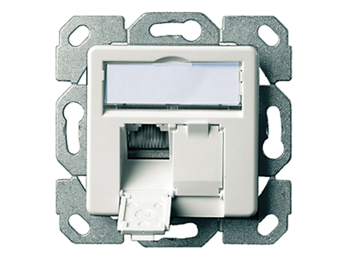 TELEGÄRTNER Dose AMJ45 UP/50 2x RJ-45 Kat.6 (Class E), alpinweiss