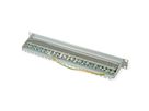 TELEGÄRTNER 19"-Verteiler MPP24 1 HE, Kat.6A (Class EA) (ISO/IEC), 24 Ports, grau