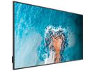 Hisense Signage Display 100DM66E, 100", 24/7, UHD, 500cd/m²