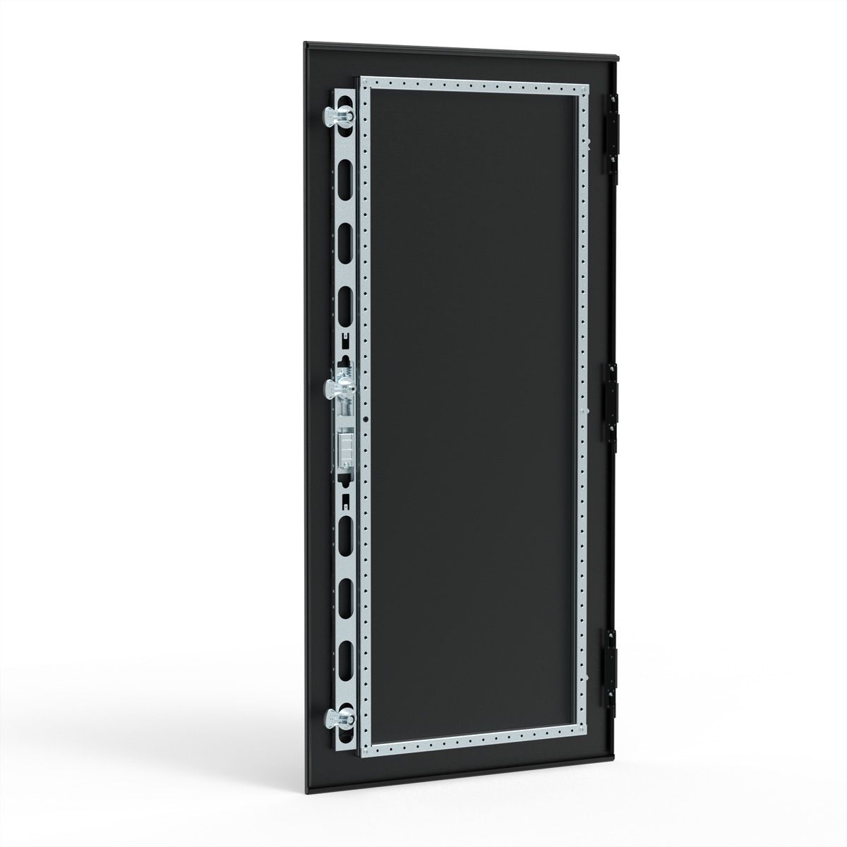 SCHROFF TUER 1200H 800B CEM FEST