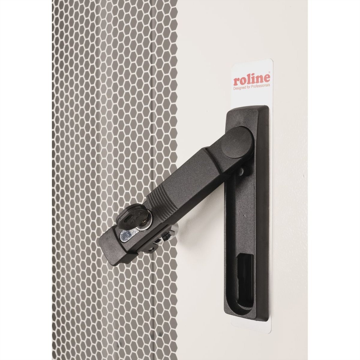 ROLINE Colocation-Schrank 42HE 800x1000mm, 2-Fächer, grau