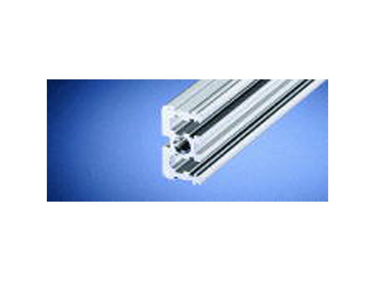 SCHROFF Modulschiene mitte, Typ VT - MODULSCH. MITTE 1MT VT