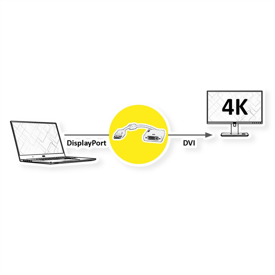 ROLINE 4K DisplayPort-DVI Adapter, DP Stecker-DVI Buchse