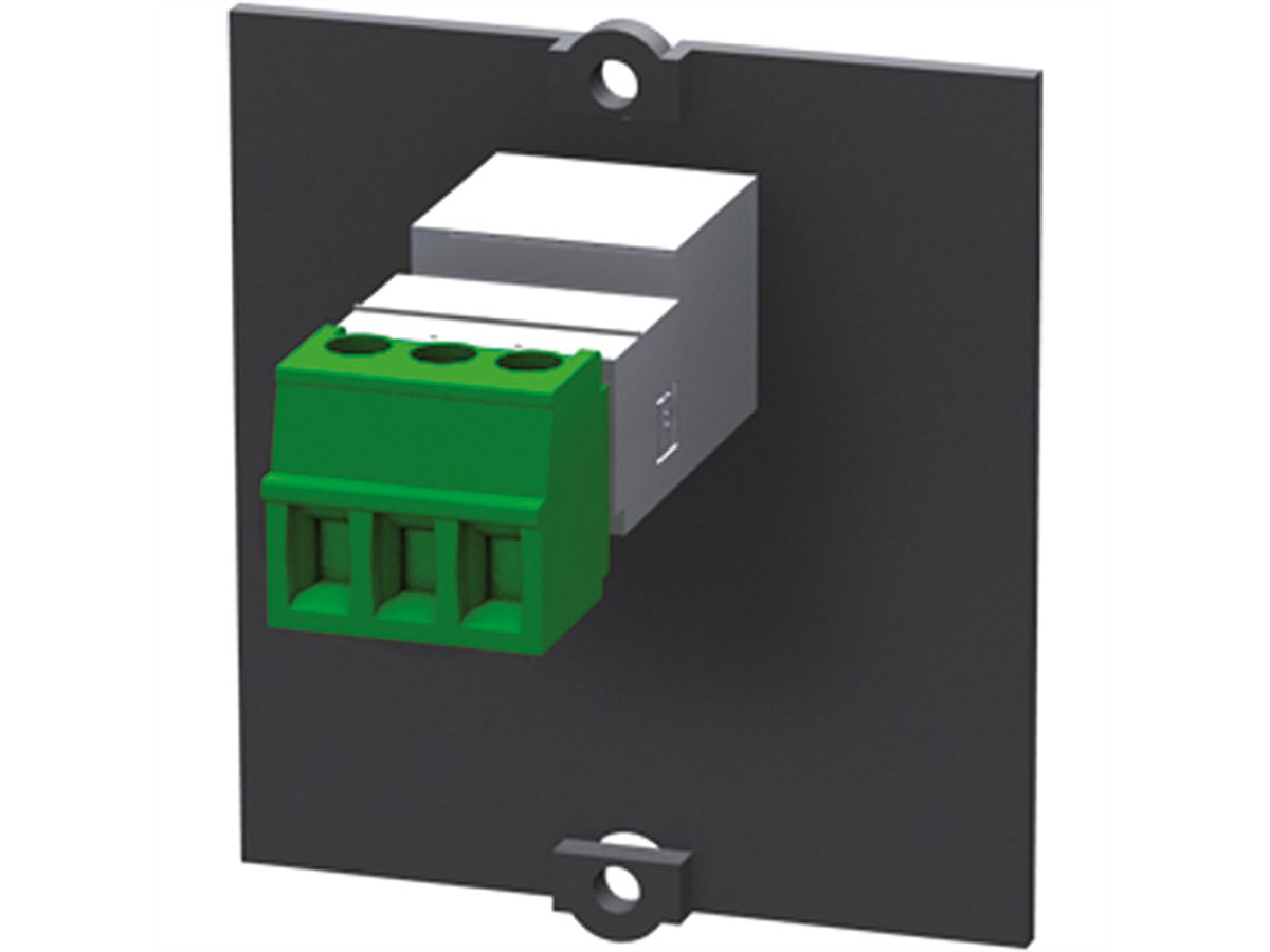 BACHMANN Rahmen Miniklinke 3,5mm Stereo, Schraubklemme