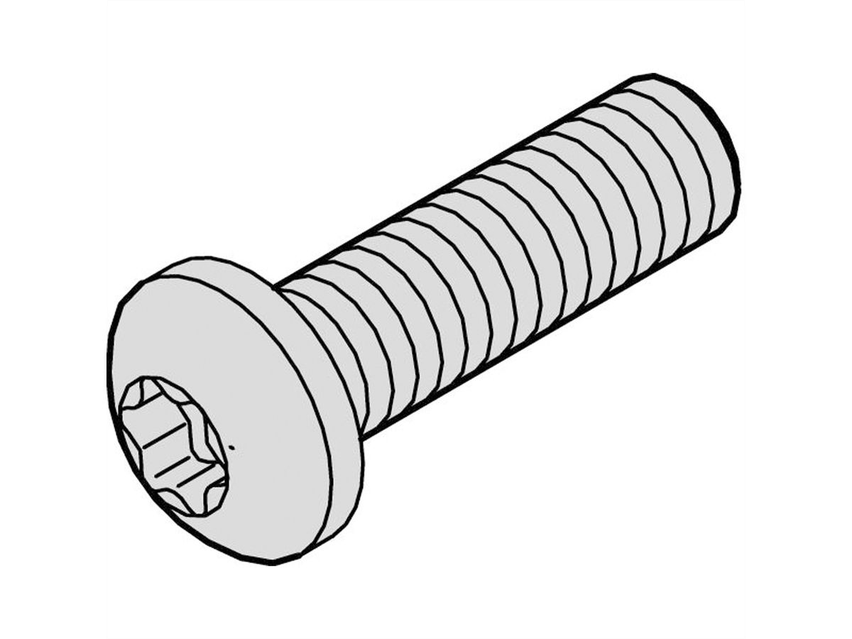 SCHROFF Torx-Linsenkopfschraube - LIKOSHR M4X6 PENTORX (100STK)