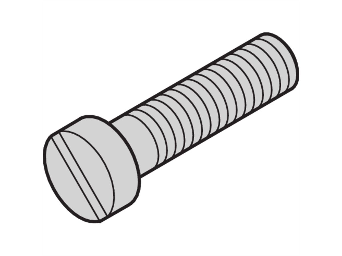 SCHROFF Zylinderkopfschraube mit Schlitz - ZYL.SCHRAUB.M2,5X16/84 100ST