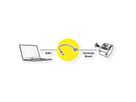 ROLINE Kabeladapter RJ45 Stecker zu Terminalblock, (Drucktasten), 30 cm