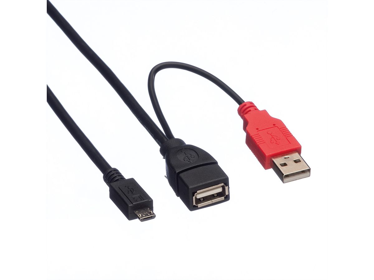 ROLINE USB 2.0 Y-Kabel, 2x Typ A (ST / BU) - Micro B ST, 1m