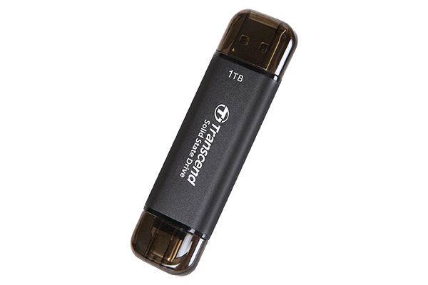 Transcend ESD310C 256 GB Schwarz