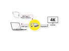 ROLINE Display Adapter USB Typ C - DisplayPort v1.2 + PD