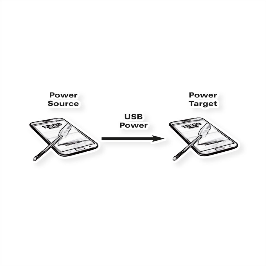 ROLINE USB 2.0 Ladekabel, Micro B - Micro B, ST/ST, schwarz, 0,3 m