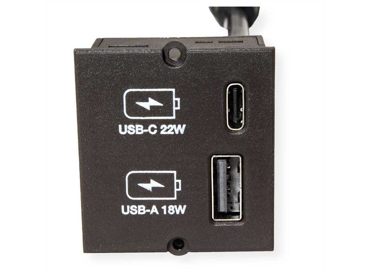 BACHMANN Custom Modul USB Charger Typ A & C 22W, Quickcharge, schwarz