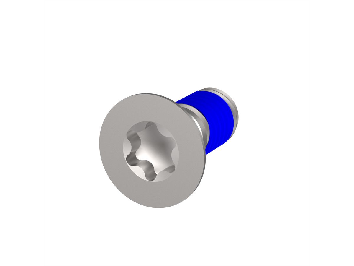 SCHROFF Senkkopfschrauben Torx M4x10mm, 100Stück