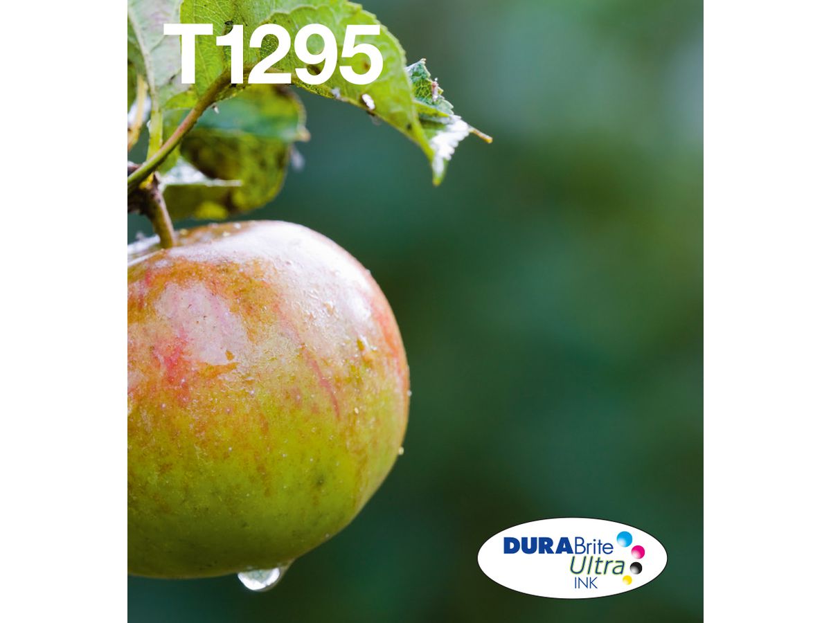 Epson Apple Multipack 4-colours T129 EasyMail