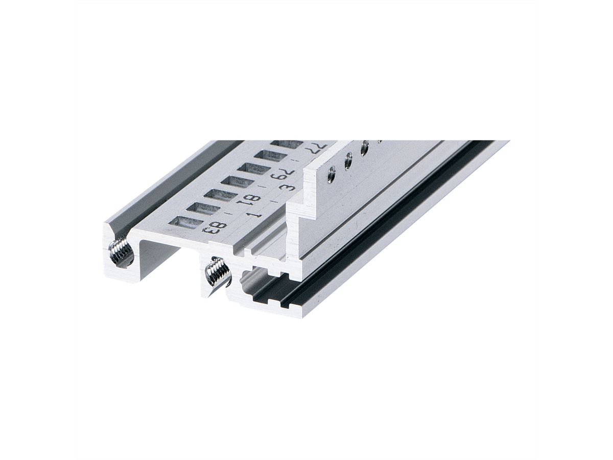 SCHROFF Typ H-MZ stabil, mit Z-Schiene - MODULSCH. HINTEN 20TE H 