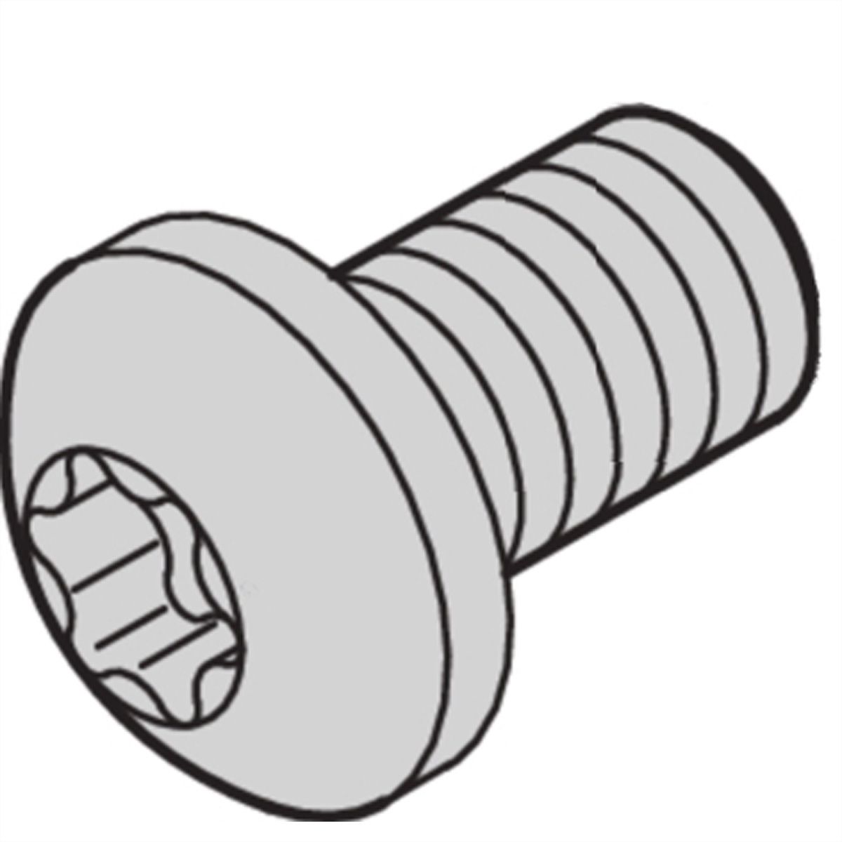 SCHROFF Torx-Linsenkopfschraube - LIKOSR M2.5X6 TORX 100STK