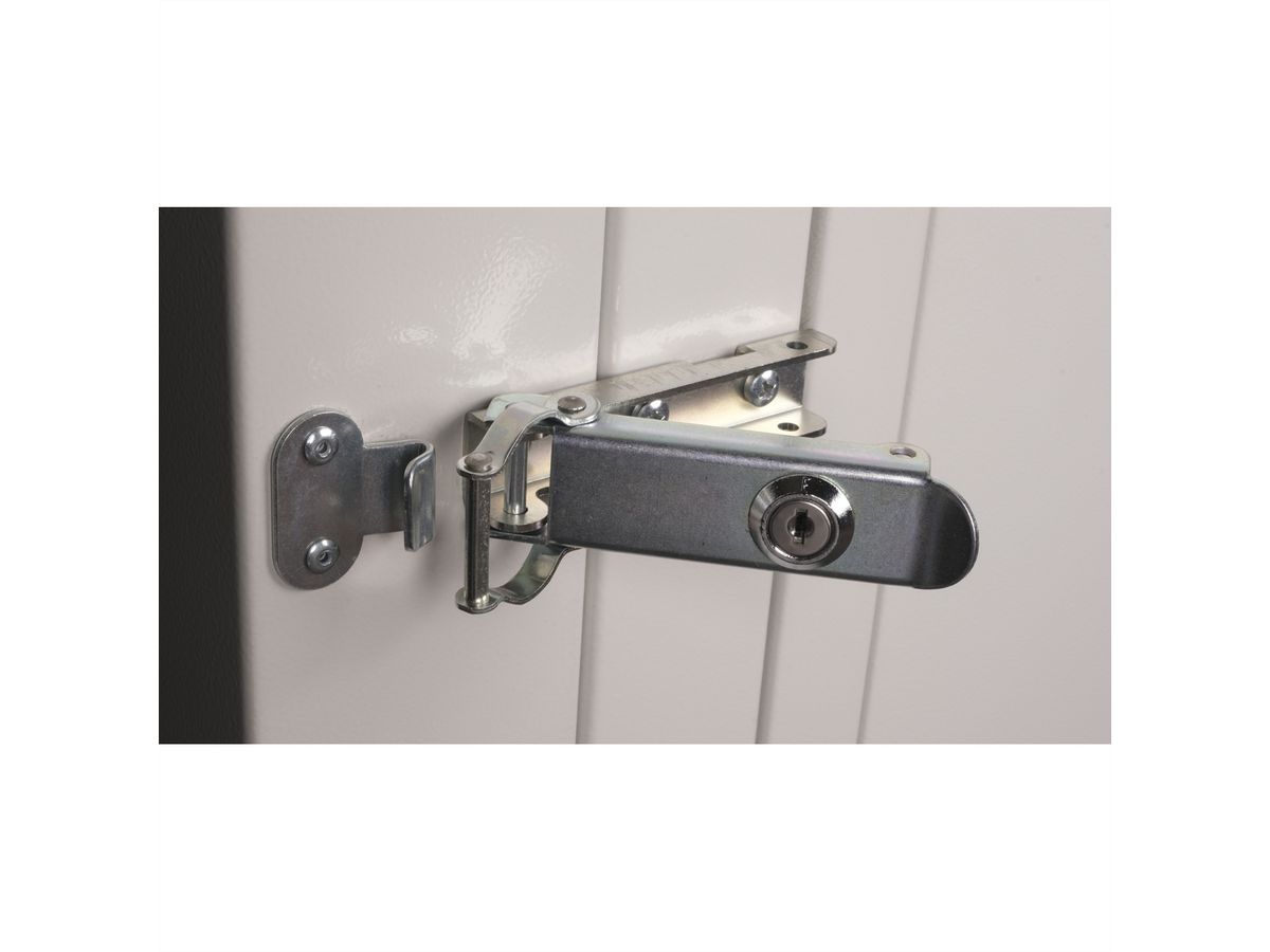 ROLINE 19-Zoll Wandgehäuse Pro 16 HE, 600x600 BxT zweiteilig schwenkbar grau