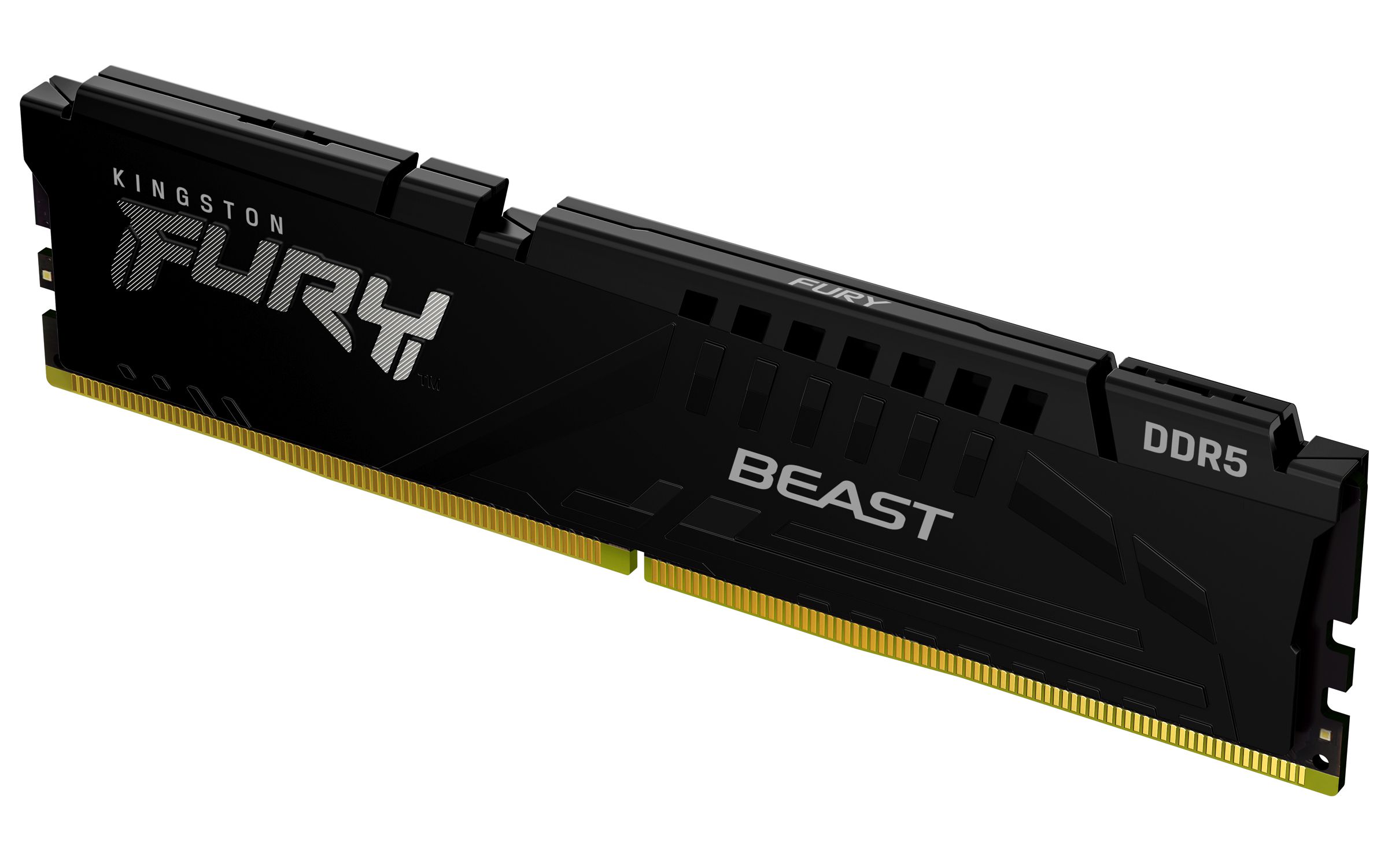 Kingston Technology FURY Beast 32 GB 6400 MT/s DDR5 CL32 DIMM Black EXPO
