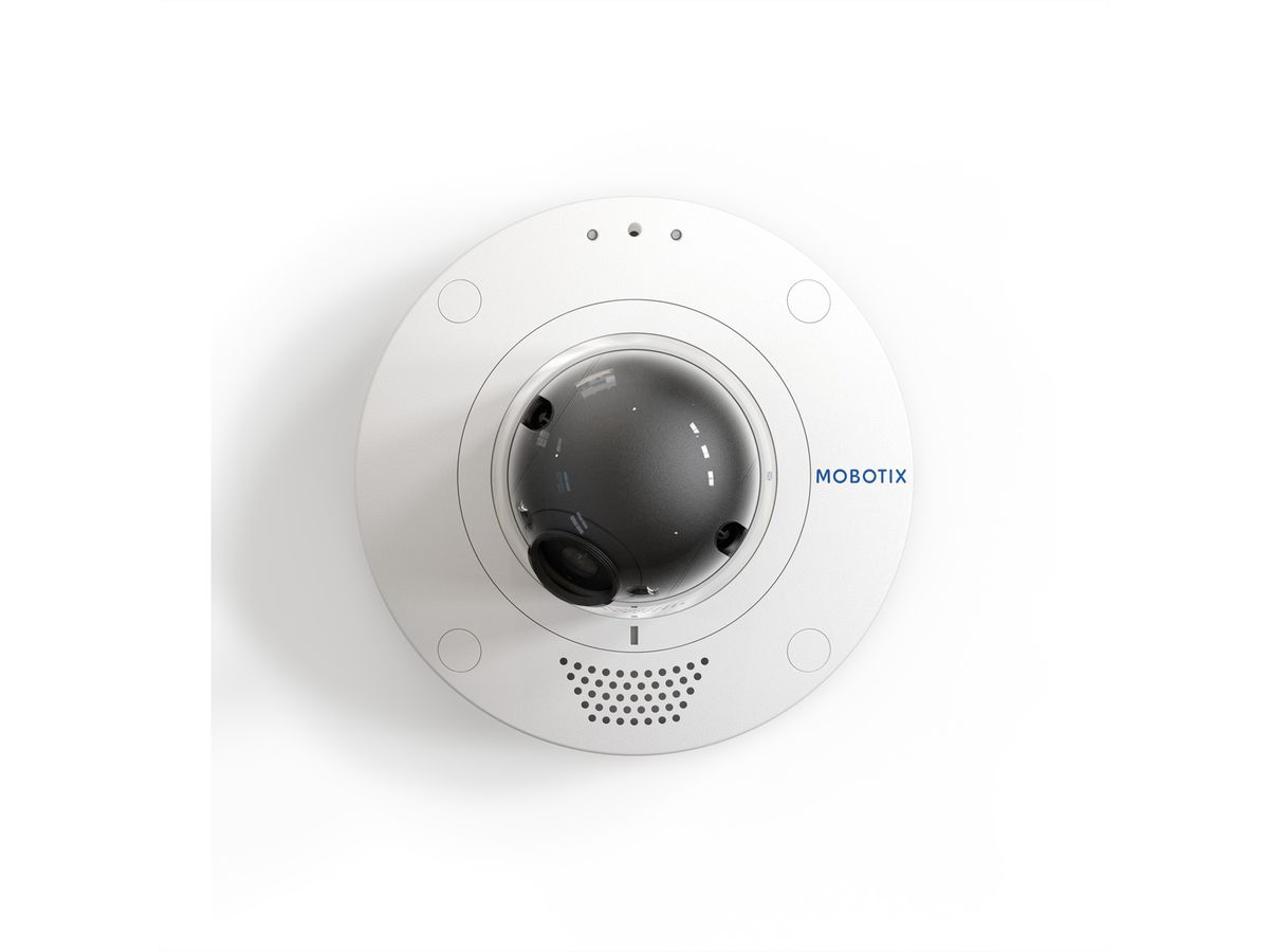 MOBOTIX D71 Dome Kamera 4MP Ultra-Low-Light (30° Tag/Nacht)