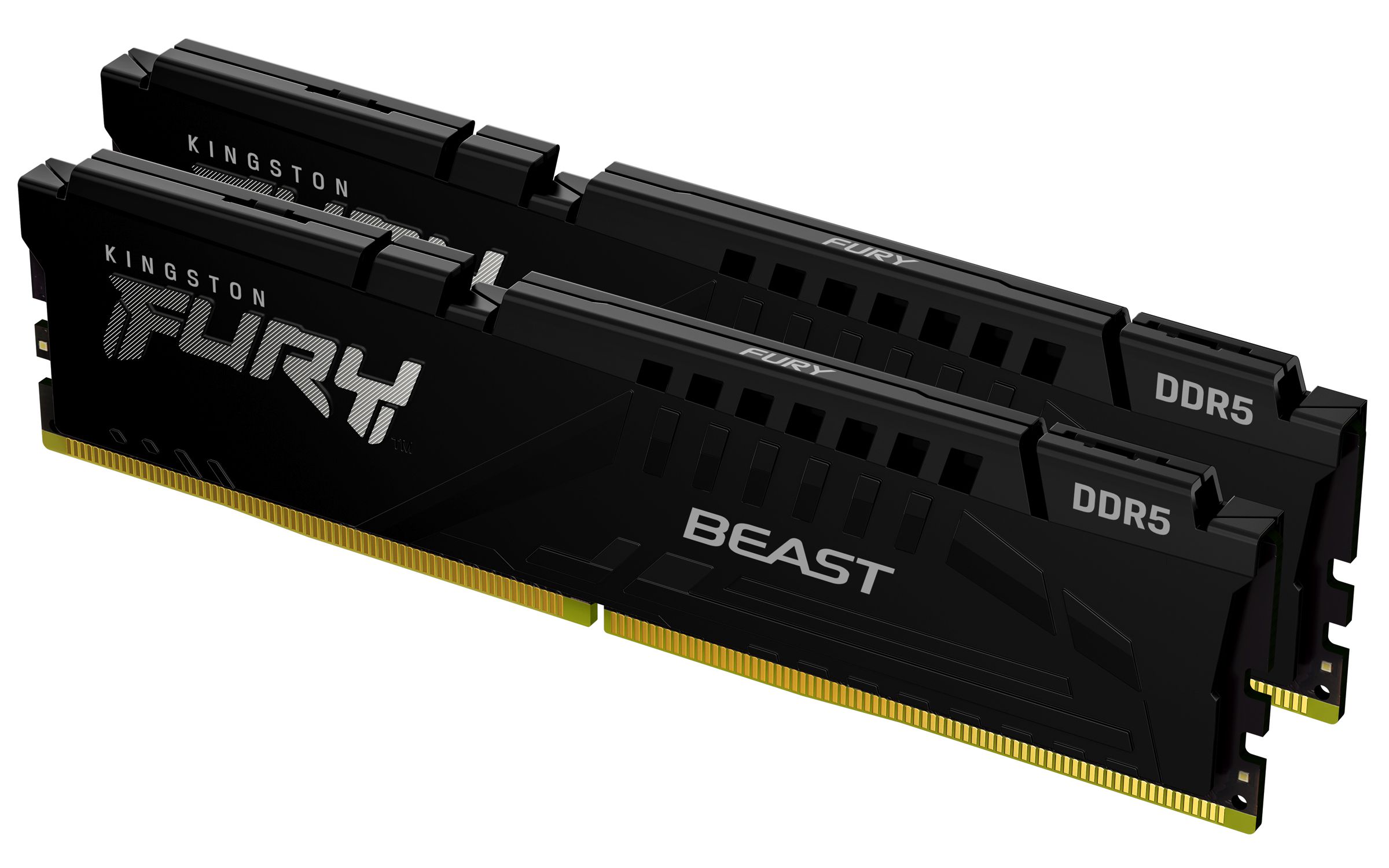Kingston Technology FURY Beast 64GB 6000MT/s DDR5 CL36 DIMM (2er-Kit) Black EXPO