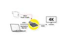 ROLINE Adapterkabel Mini DisplayPort / DisplayPort / Typ C - HDMI, Aktiv, 0,15 m