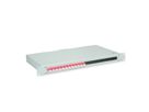 TELEGÄRTNER BASIS eco LWL-Panel mit Kupplungen, 12x LC Duplex, violett, OM4