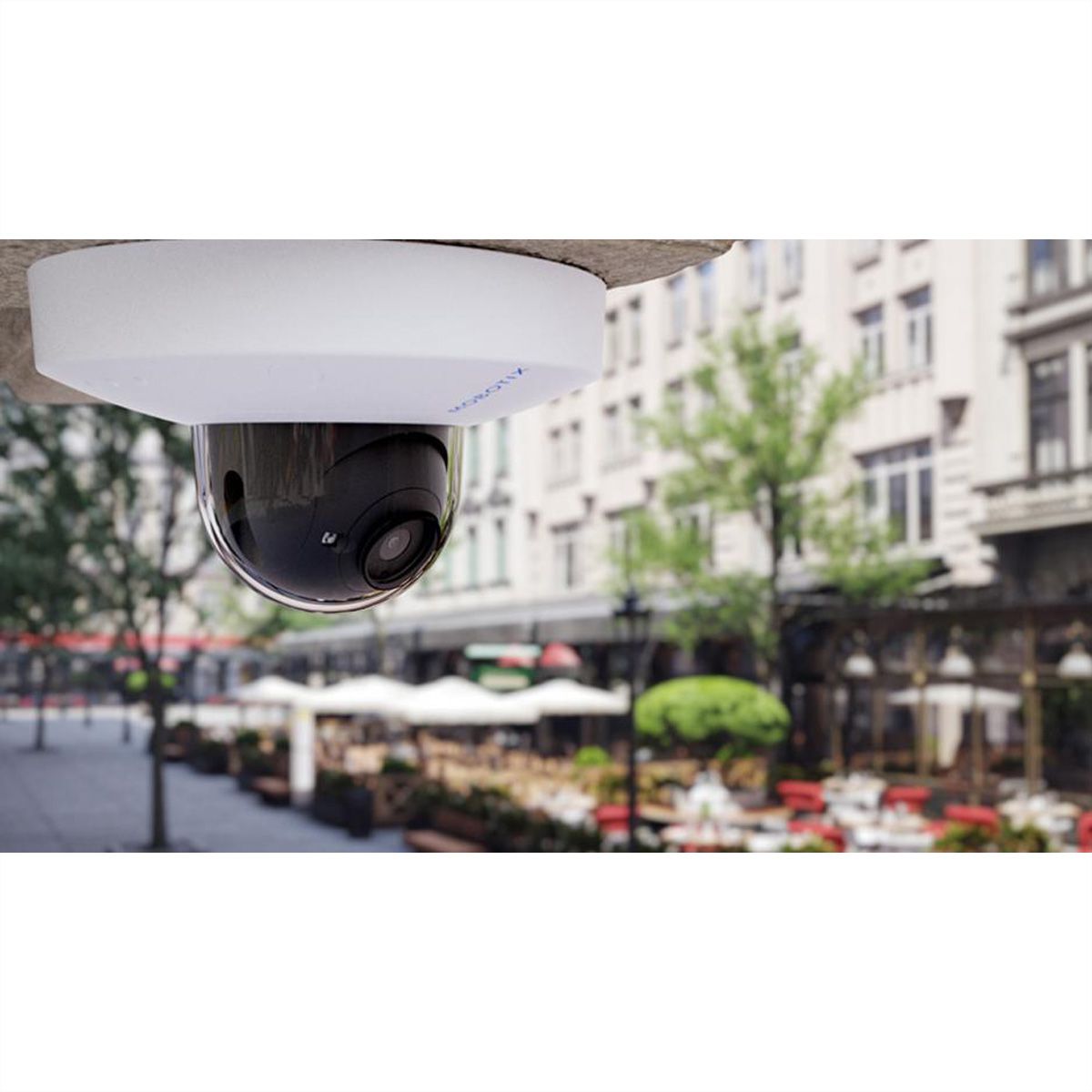 MOBOTIX D71B Dome Kamera 8 MP, 30°, IR-LED 30m