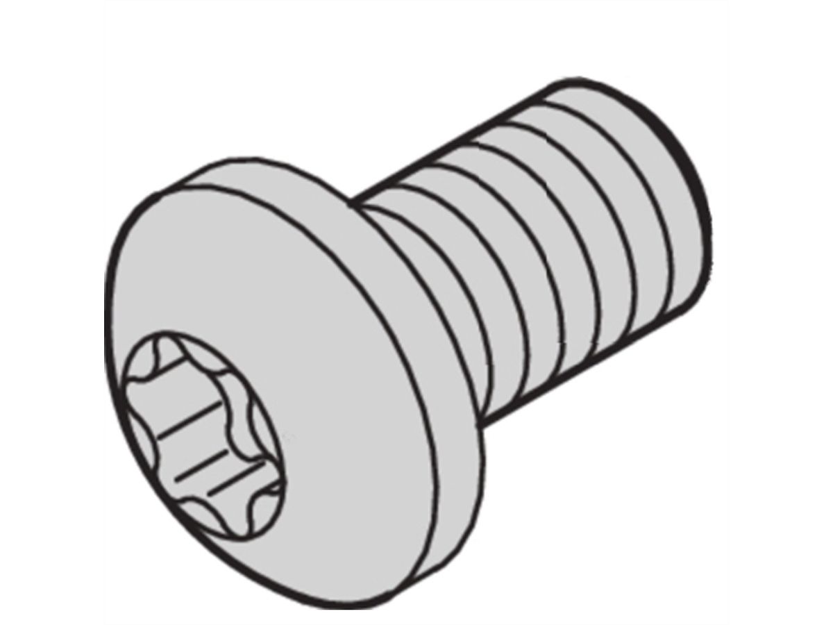 SCHROFF Torx-Linsenkopfschraube - LIKOSHR M4X6 PENTORX (100STK)